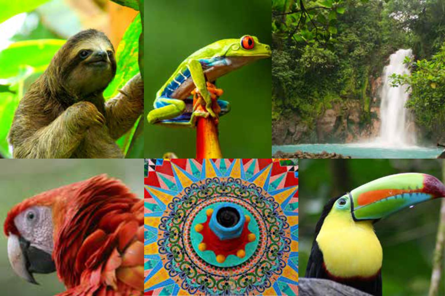 Colorful Costa Rica Adventure - February 3 - 11, 2027